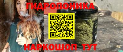 шишки Ливны