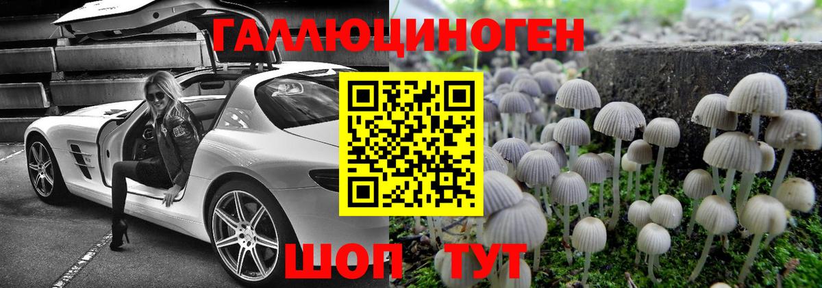 Псилоцибиновые грибы мицелий  Вход с VPN  Димитровград 